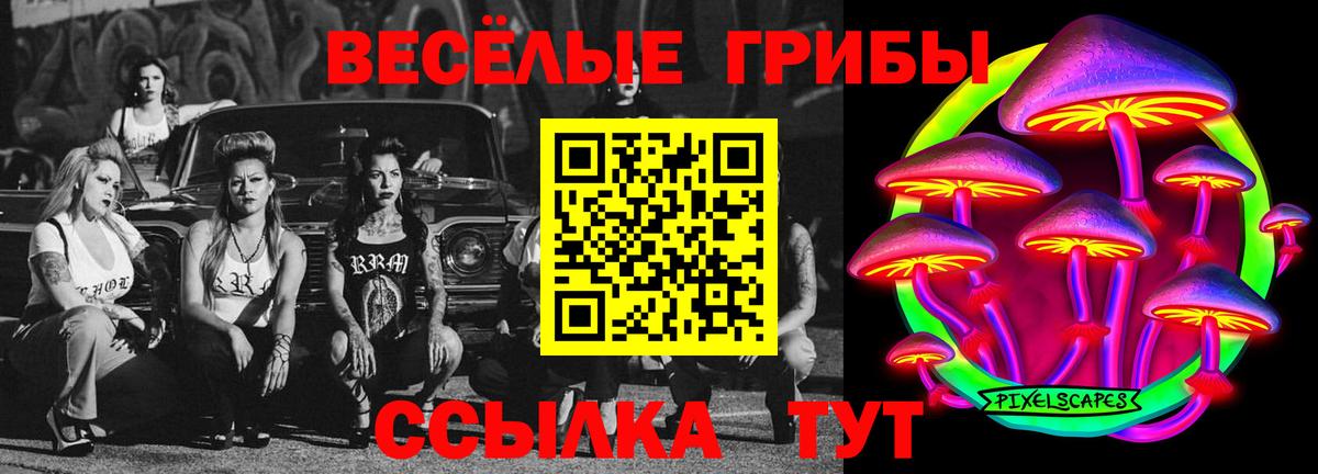 Назрань  Галлюциногенные грибы GOLDEN TEACHER  Вход с VPN 